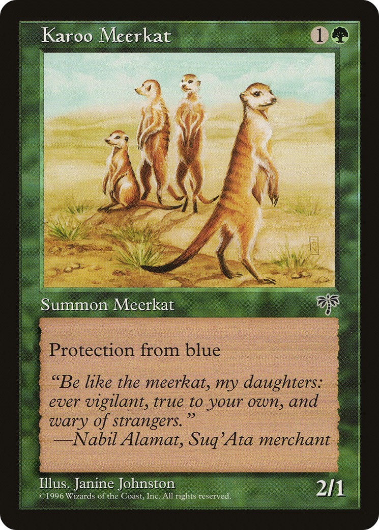 Karoo Meerkat - Image 1
