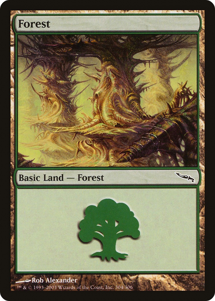Forest - Image 1
