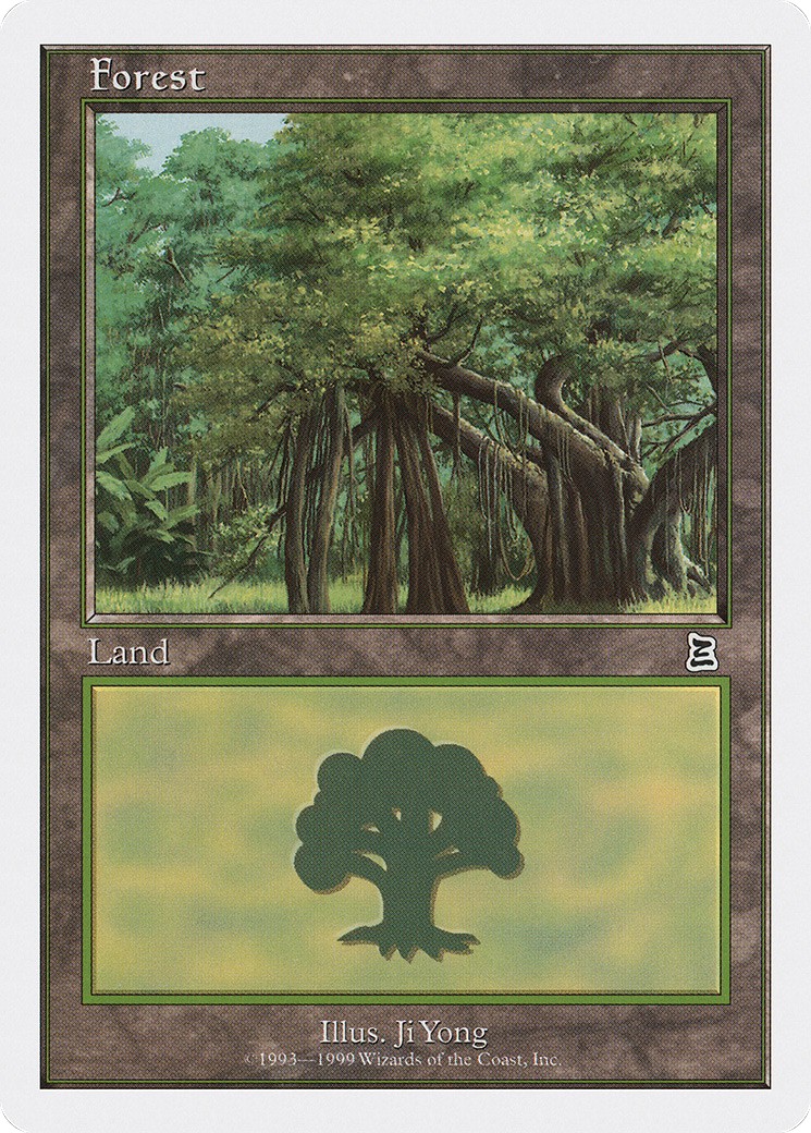 Forest - Image 1