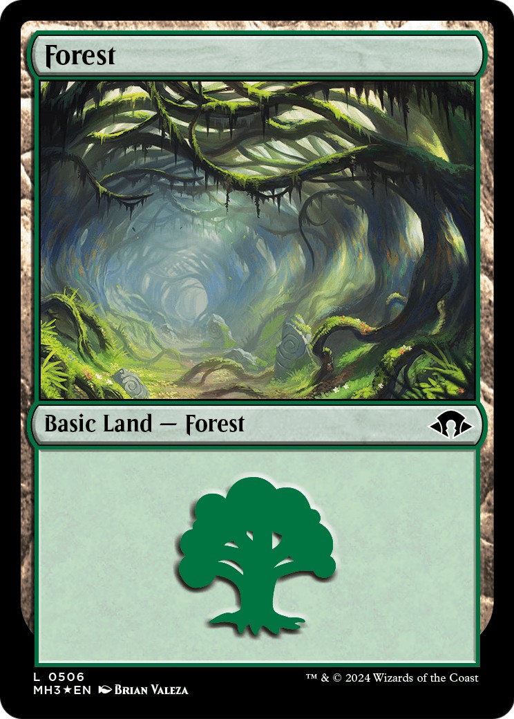 Forest - Image 1