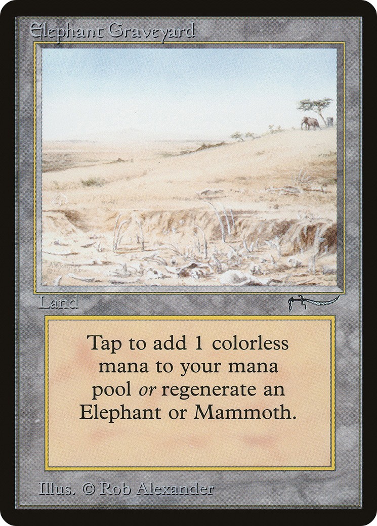 Elephant Graveyard - Image 1