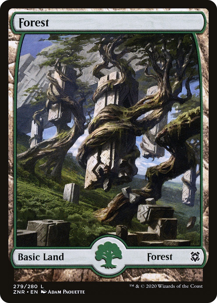 Forest - Image 1
