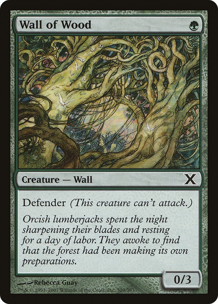 2007 Magic: The Gathering Tenth Edition 2007 Magic: The Gathering Tenth Edition #309 trading card