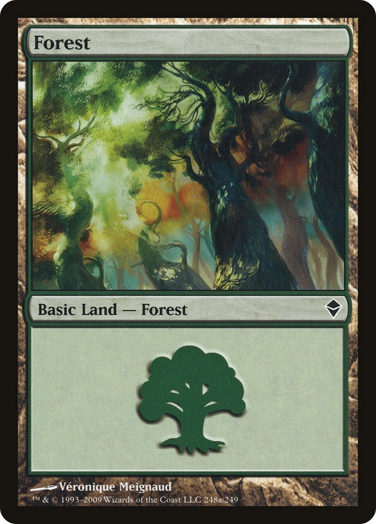 Forest - Image 1