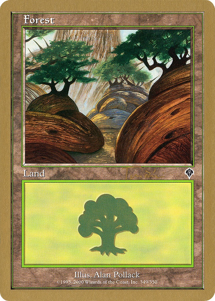 Forest - Image 1
