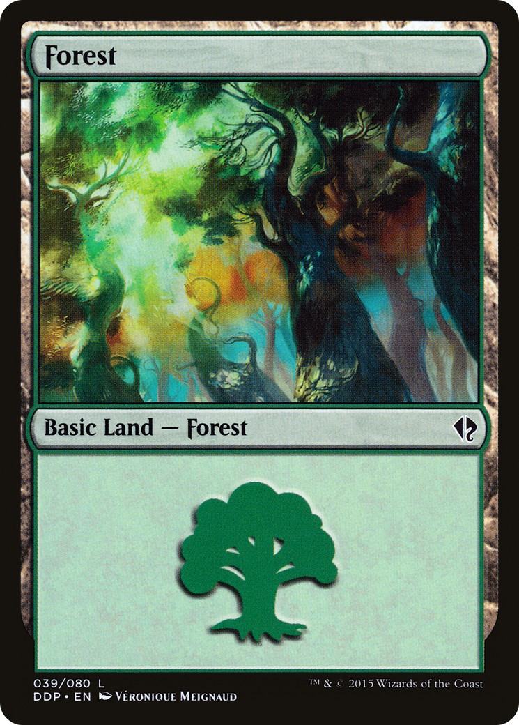 Forest - Image 1
