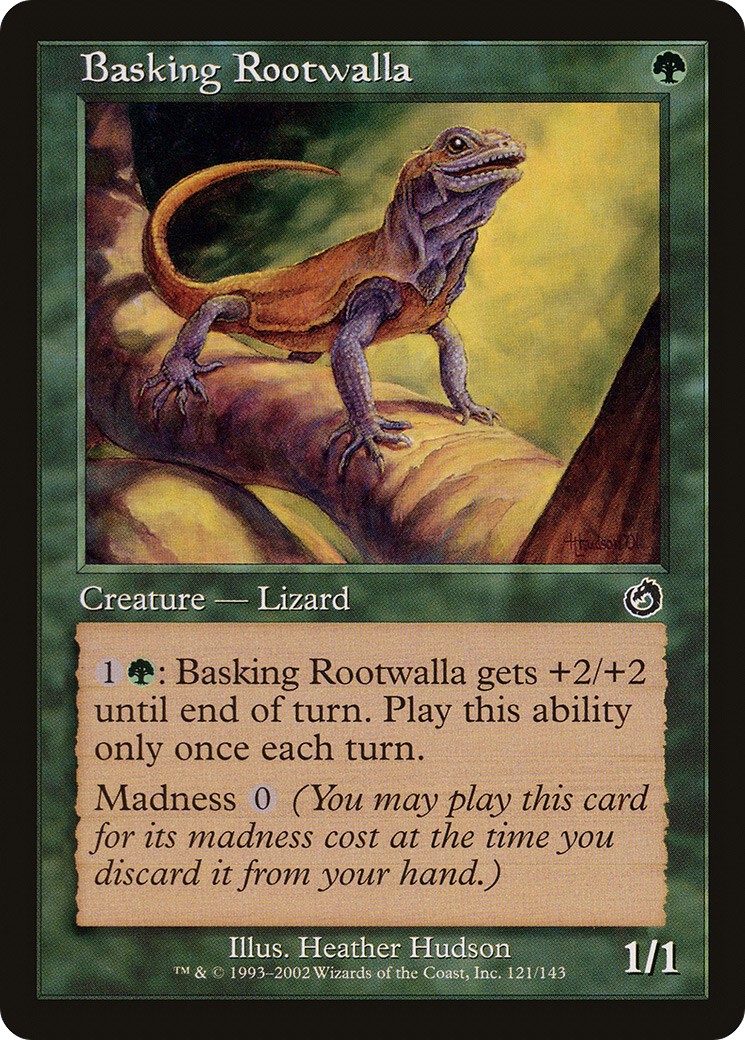Basking Rootwalla - Image 1
