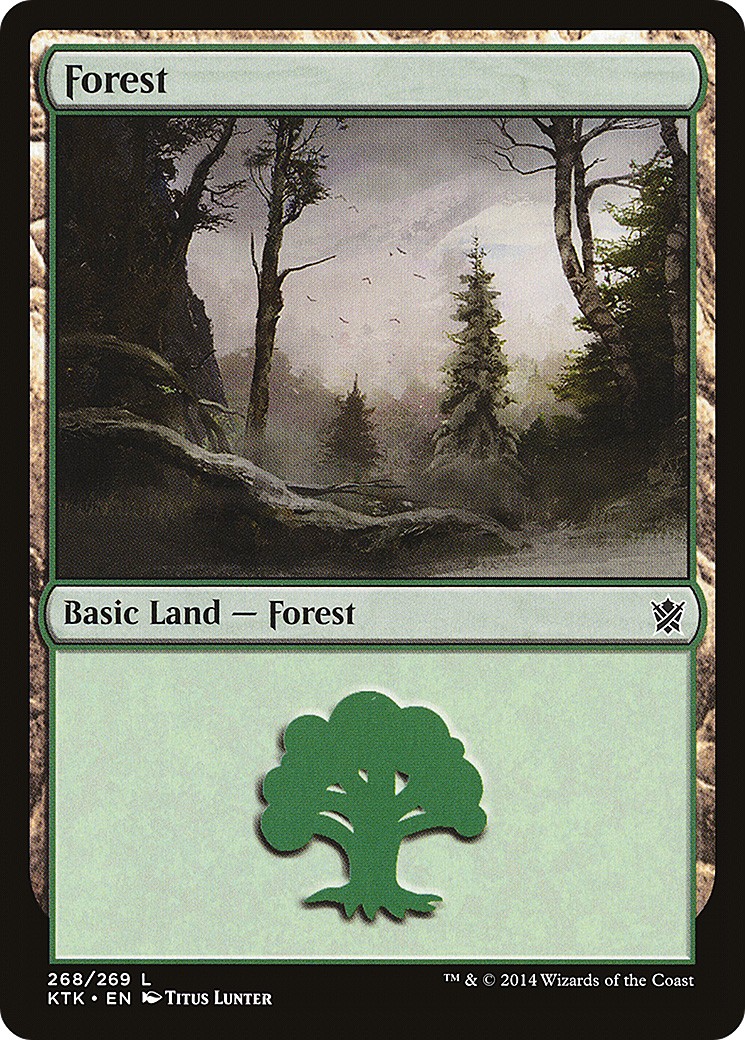 Forest - Image 1