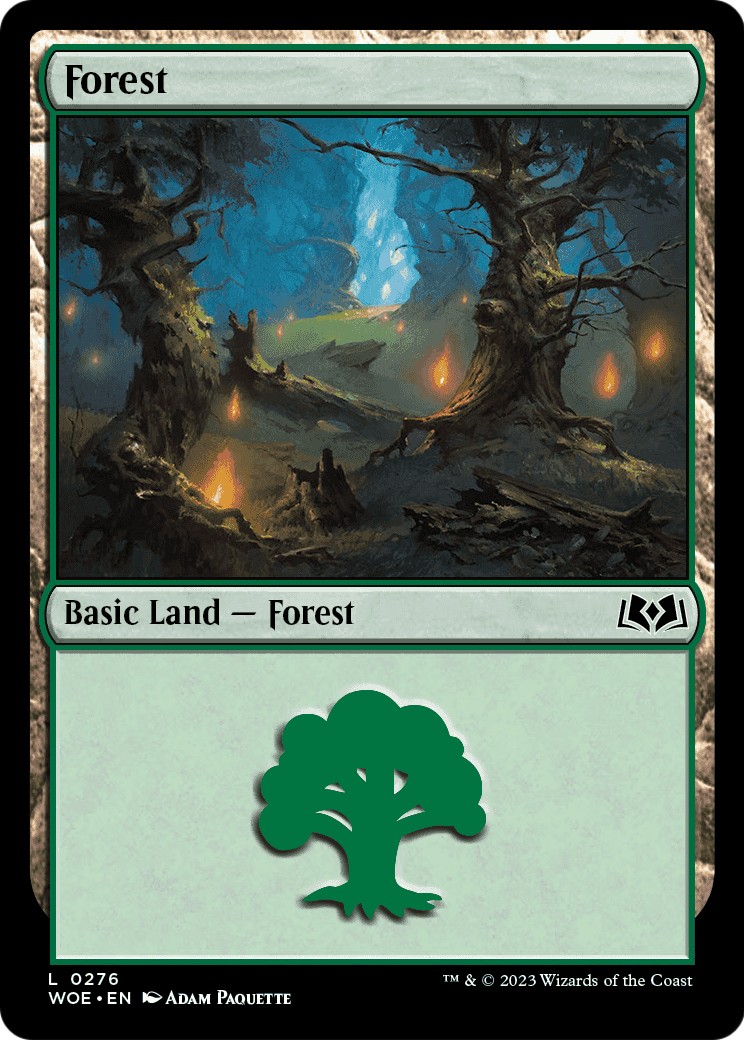 Forest - Image 1