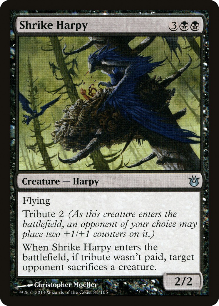 Shrike Harpy - Image 1