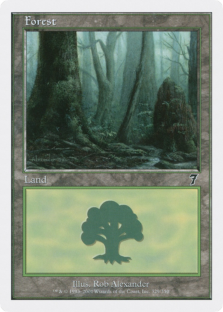 Forest - Image 1