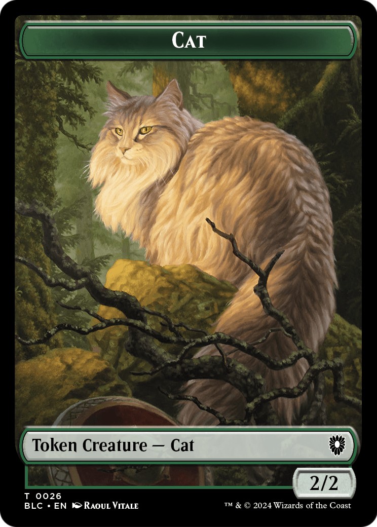 Cat - Image 1