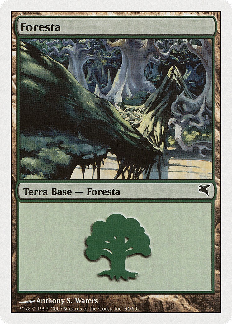 Forest - Image 1