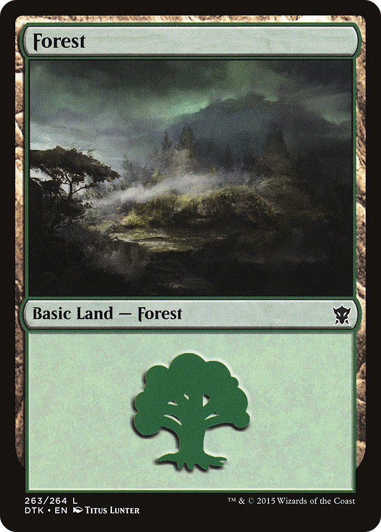 Forest - Image 1
