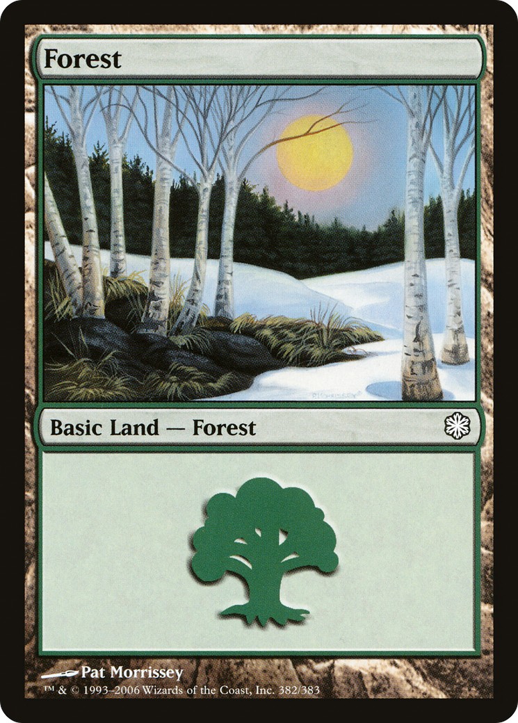 Forest - Image 1
