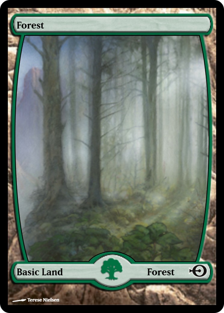 Forest - Image 1