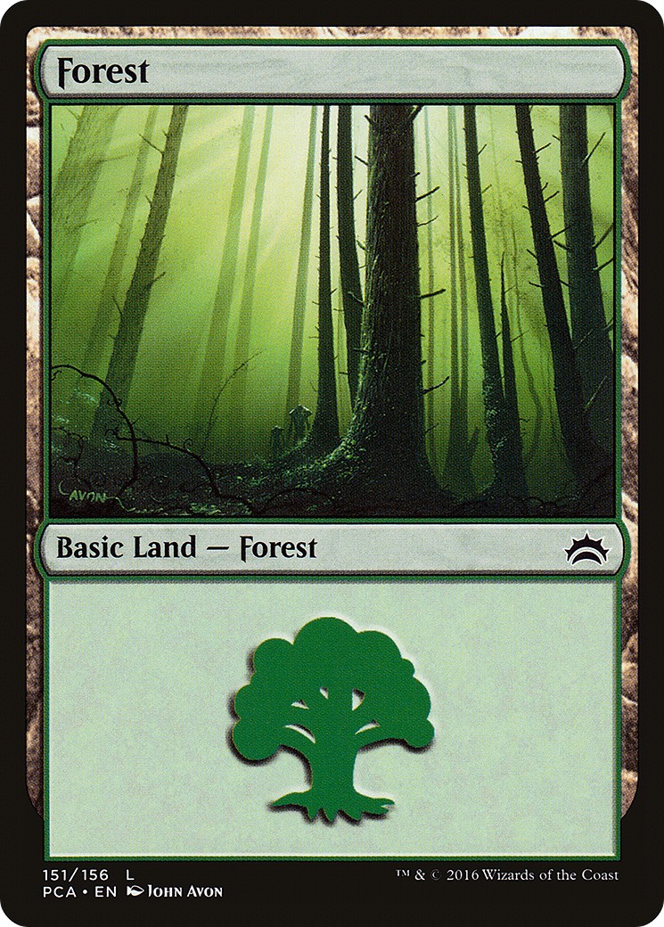 Forest - Image 1