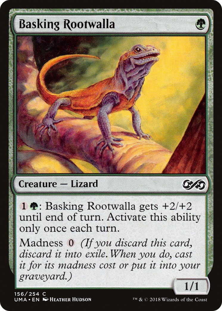 Basking Rootwalla - Image 1