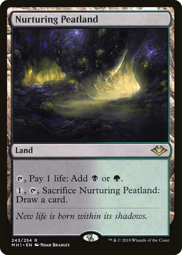 2019 Magic: The Gathering Modern Horizons 2019 Magic: The Gathering Modern Horizons #243 trading card