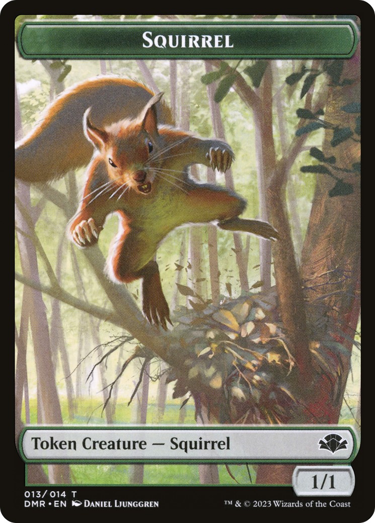 Squirrel - Image 1