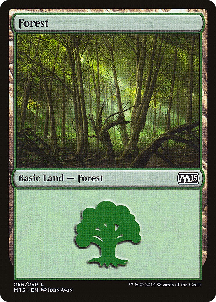 Forest - Image 1