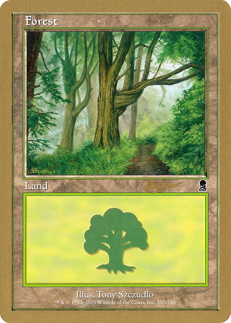 Forest - Image 1