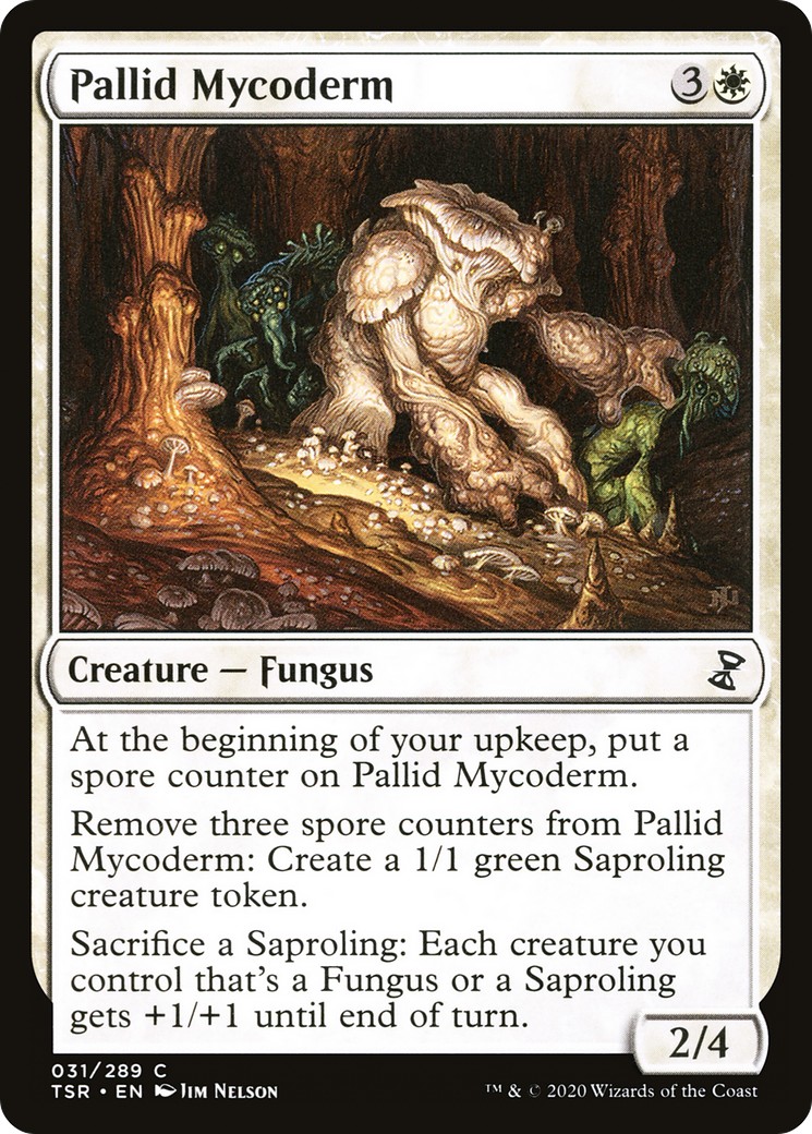 Pallid Mycoderm - Image 1