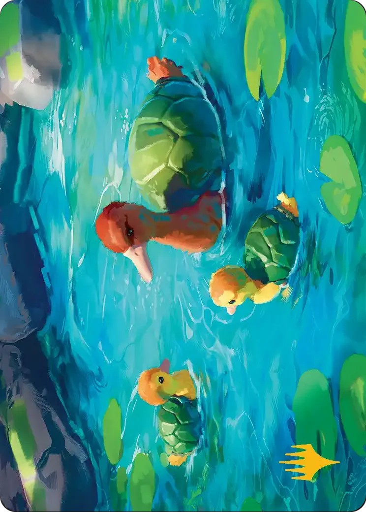 Turtle-Duck // Turtle-Duck - Image 1