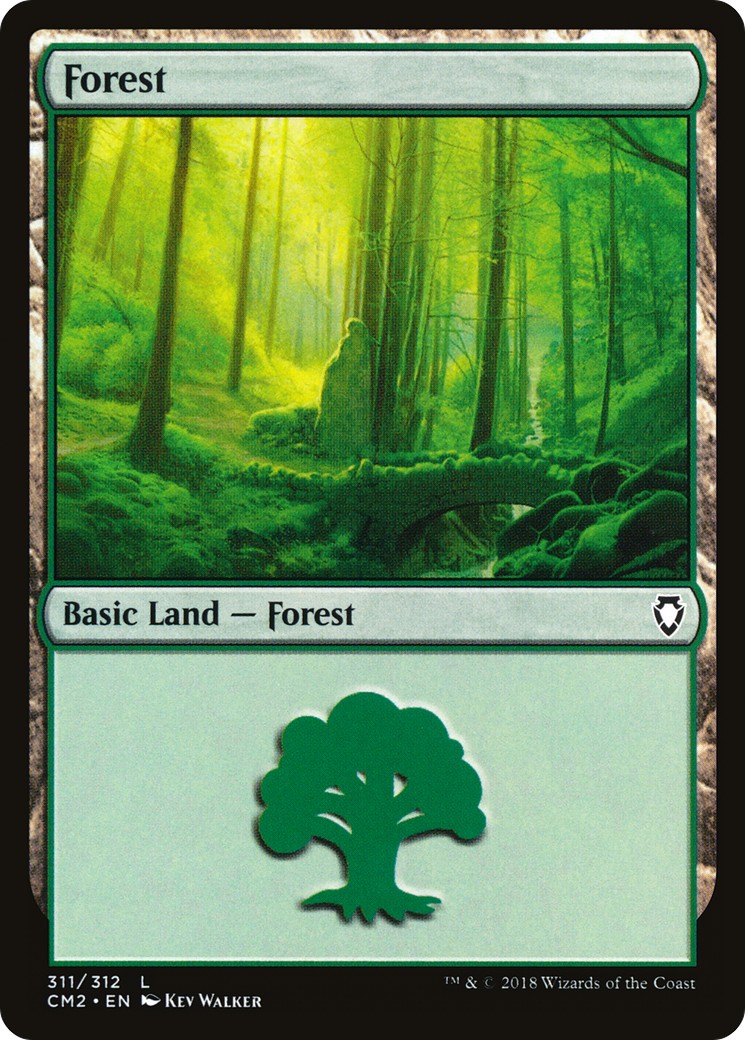 Forest - Image 1