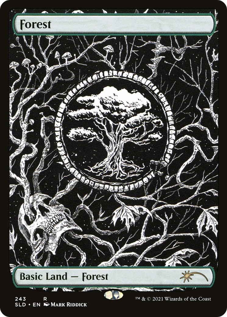 Forest - Image 1