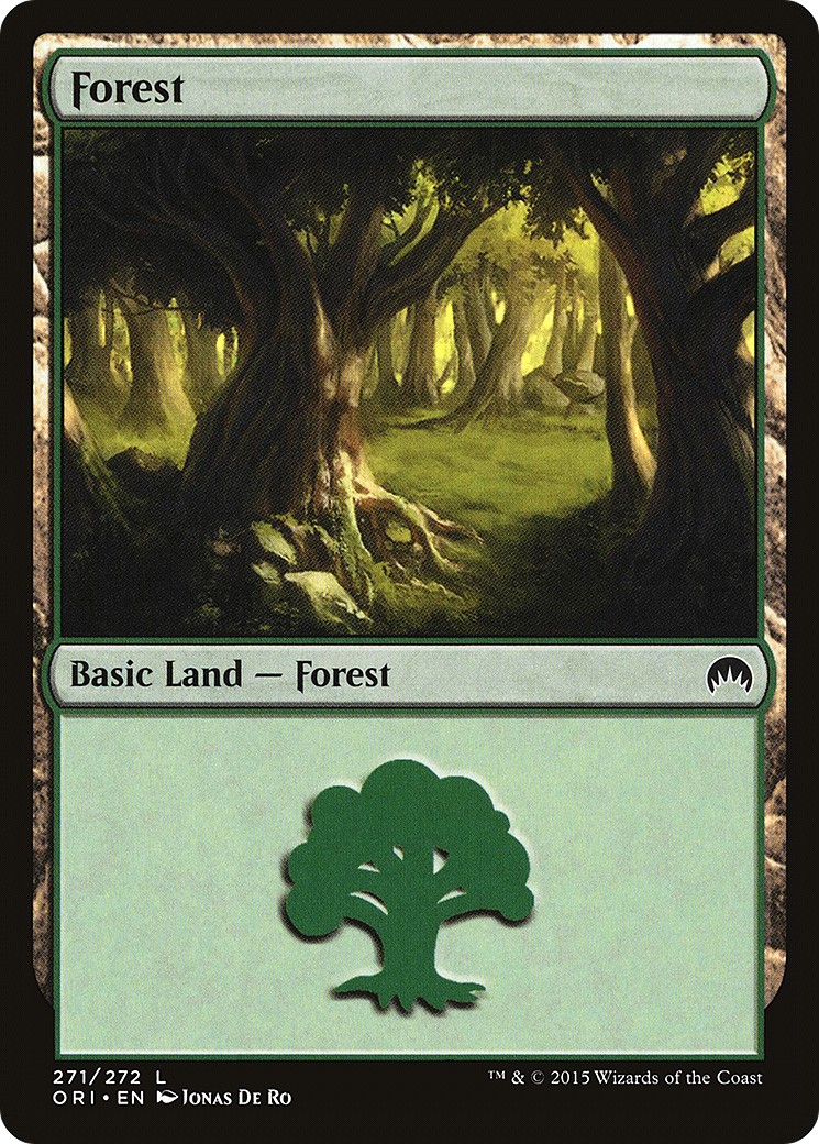Forest - Image 1