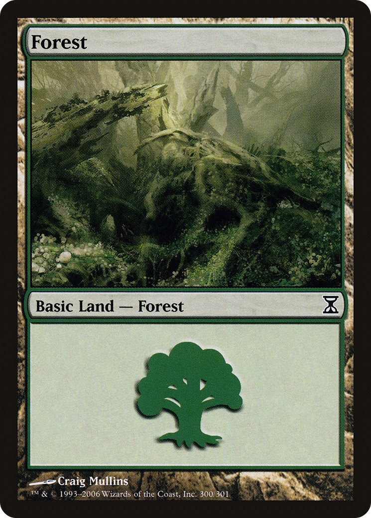 Forest - Image 1