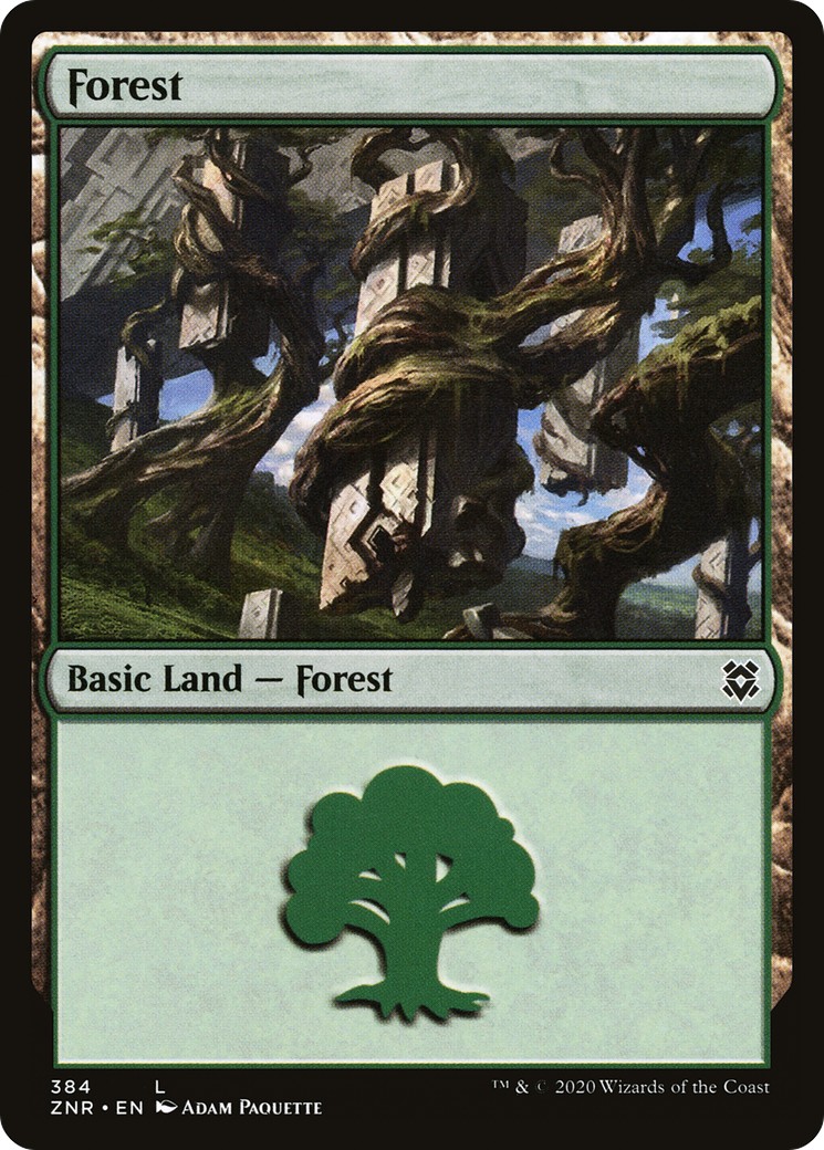 Forest - Image 1