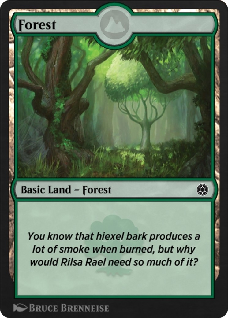 Forest - Image 1