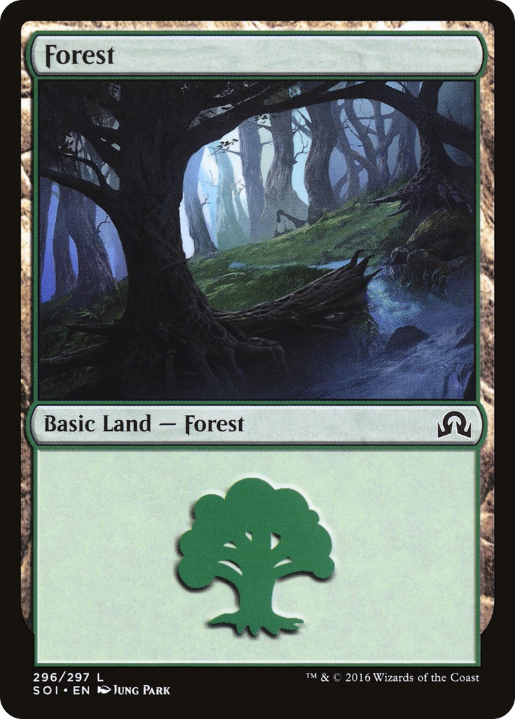 Forest - Image 1