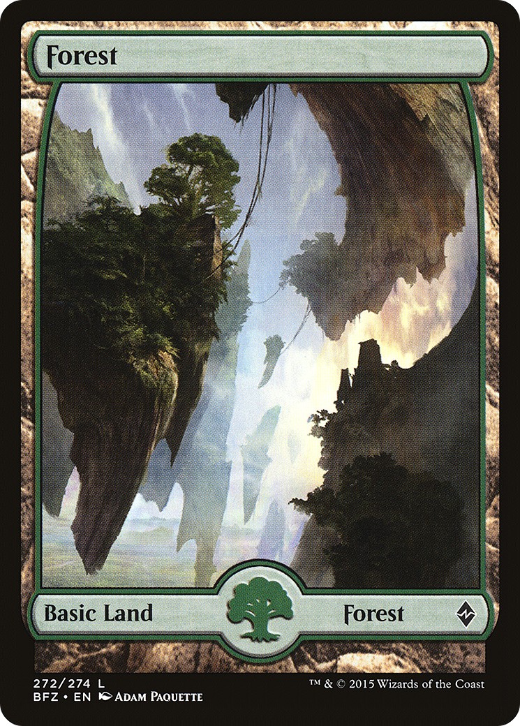 Forest - Image 1