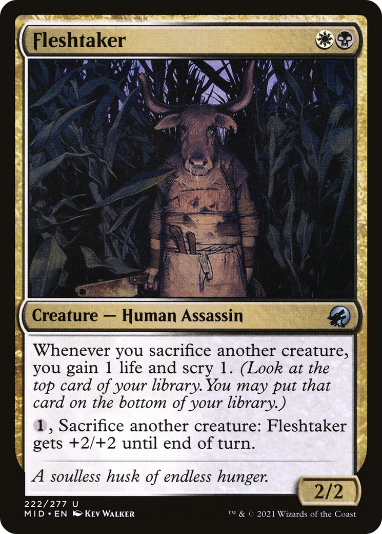 2021 Magic: The Gathering Innistrad: Midnight Hunt 2021 Magic: The Gathering Innistrad: Midnight Hunt #222 trading card