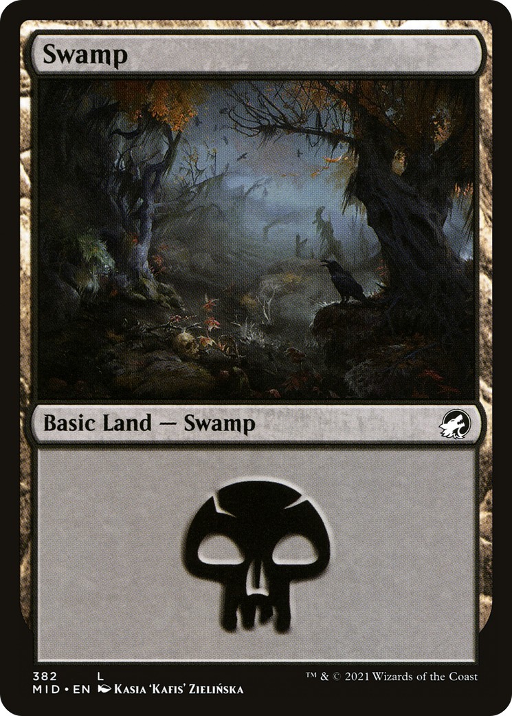 Swamp - Image 1