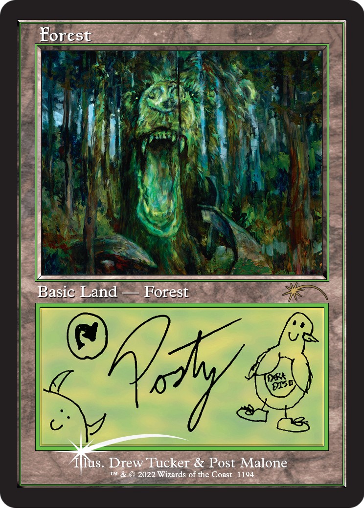 Forest - Image 1