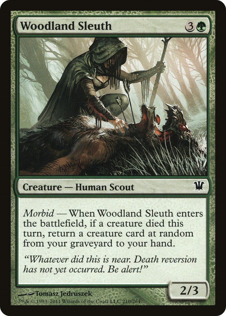Woodland Sleuth - Image 1