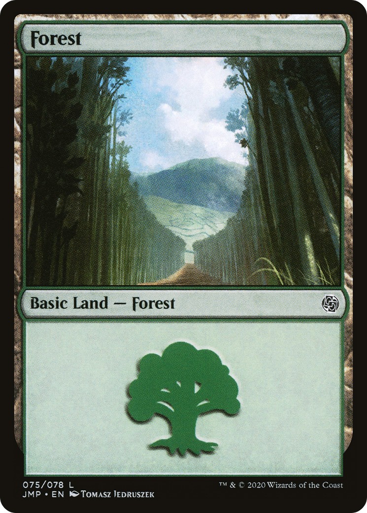 Forest - Image 1