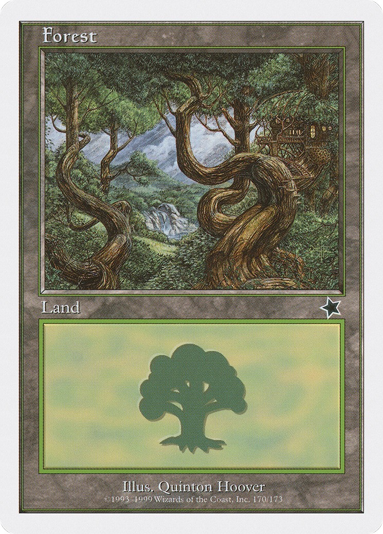 Forest - Image 1