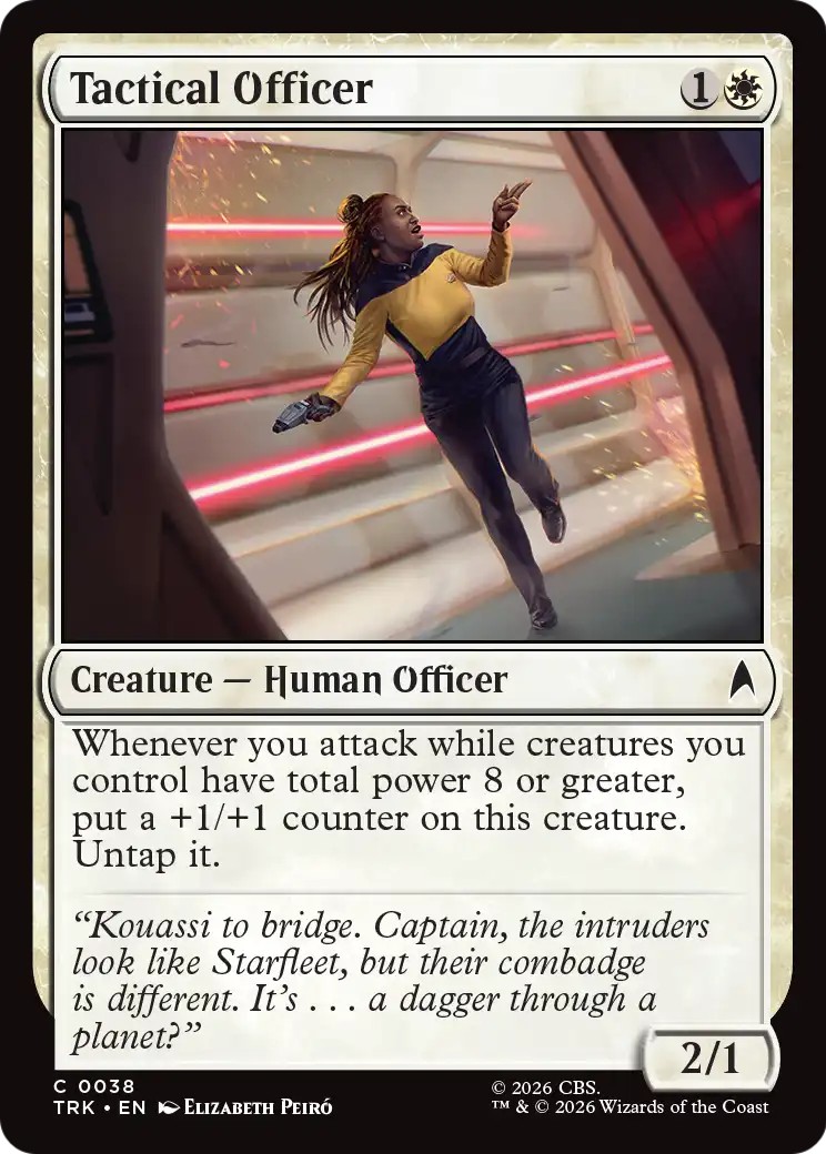 Tactical Officer - Image 1