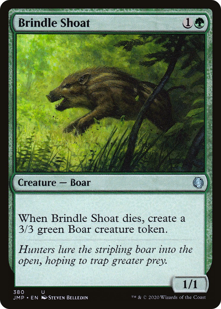Brindle Shoat - Image 1