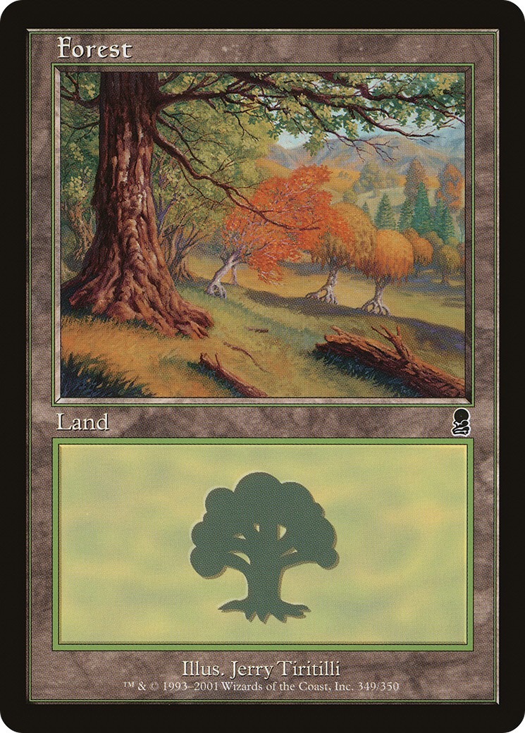 Forest - Image 1