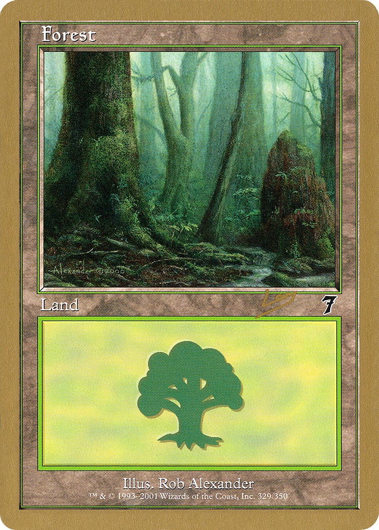 Forest - Image 1