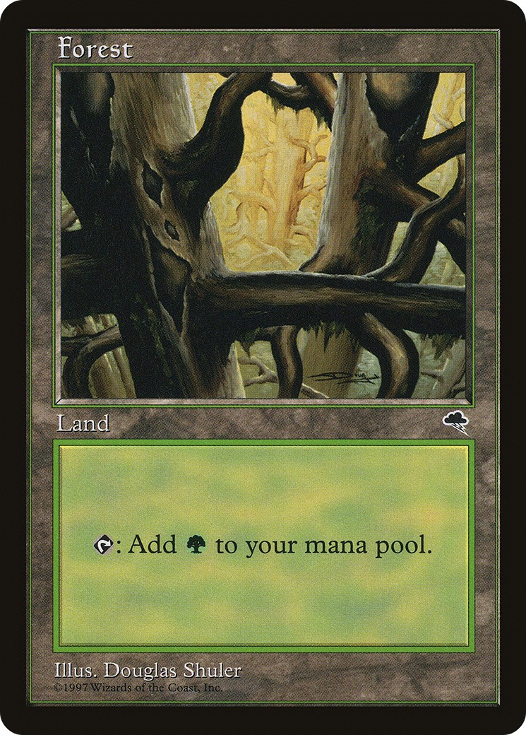 Forest - Image 1