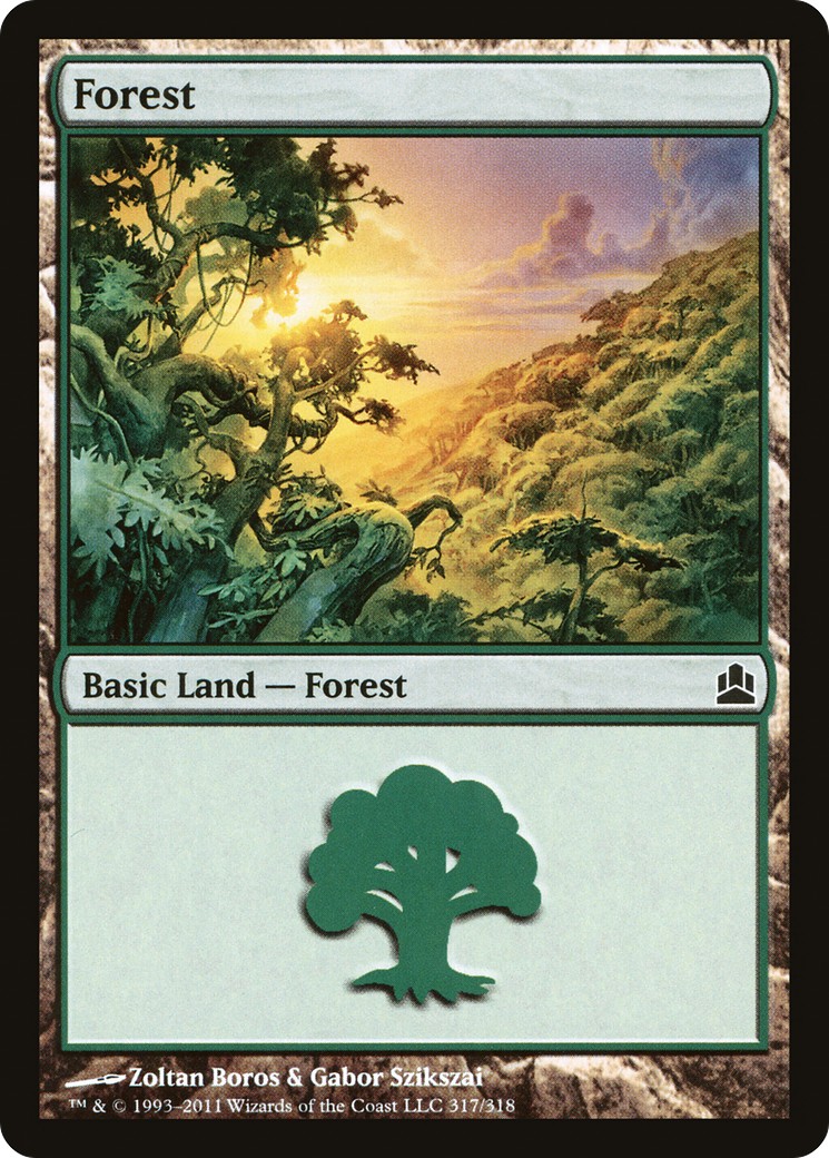 Forest - Image 1