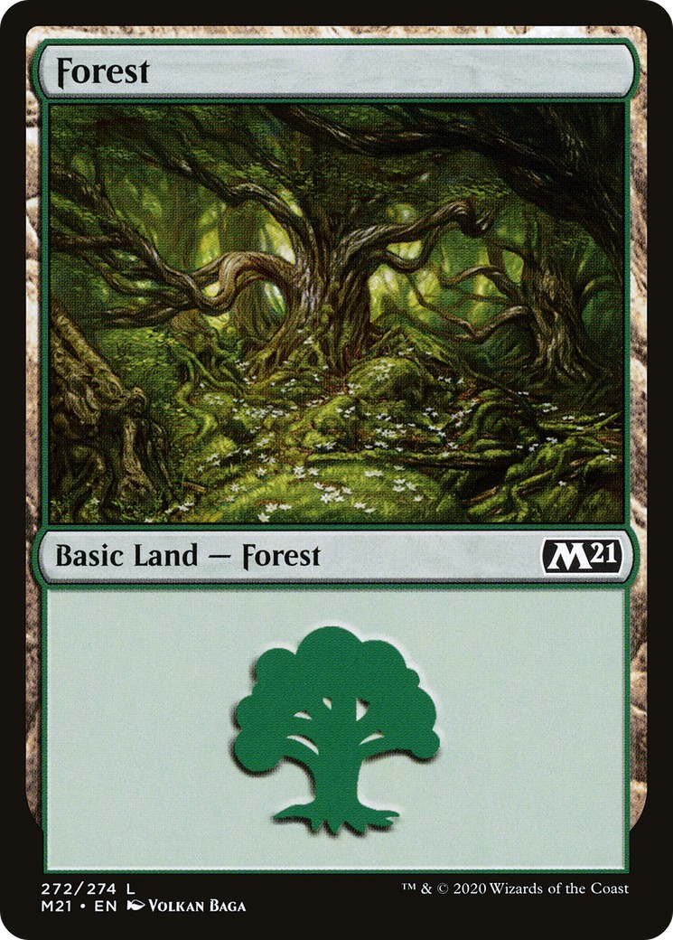 Forest - Image 1