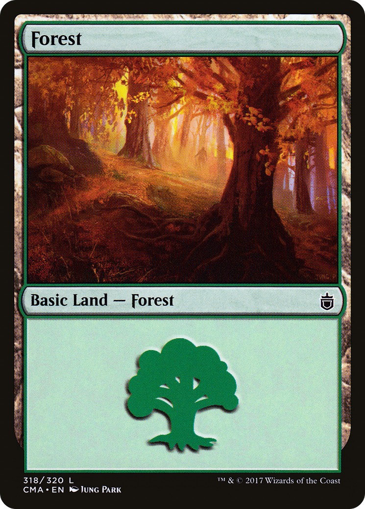 Forest - Image 1